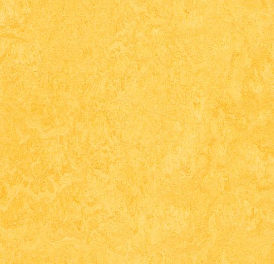 Linoleum Flooring | Marmoleum Click Cinch LOC