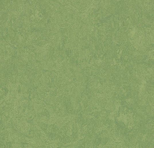 Linoleum Flooring | Marmoleum Click Cinch LOC