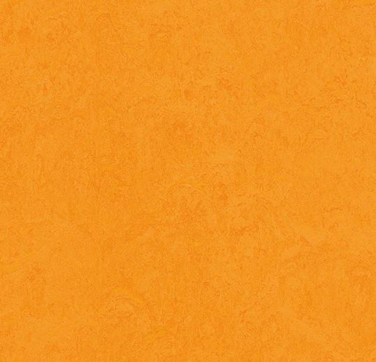 Linoleum Flooring | Marmoleum Click Cinch LOC