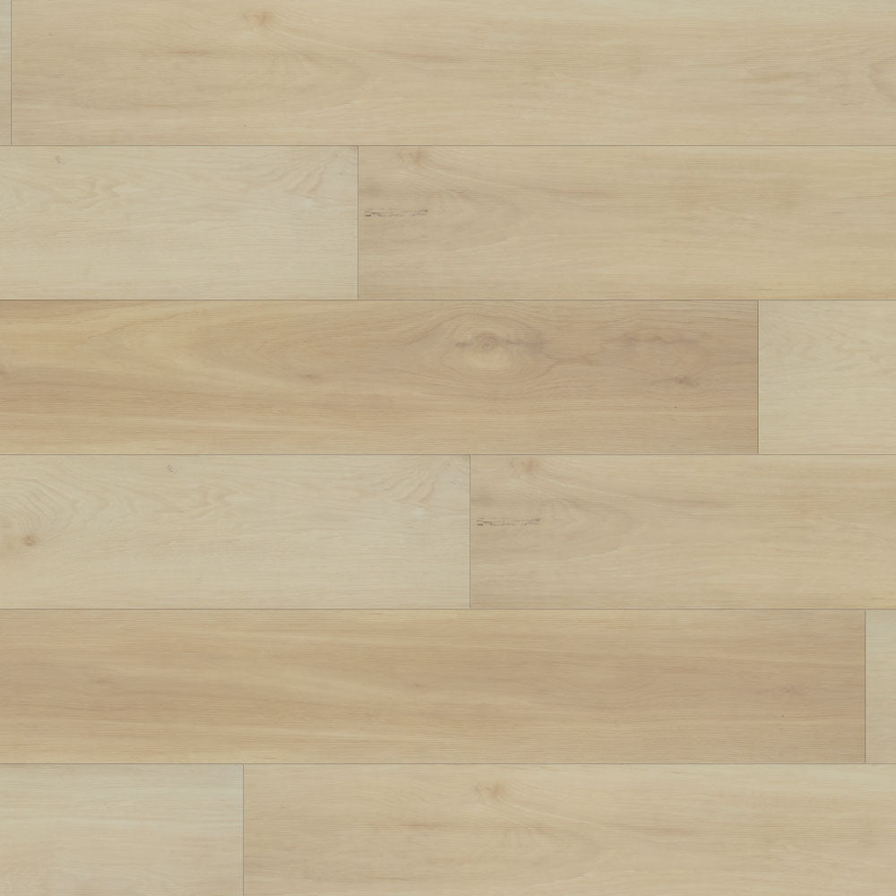 Plancher de vinyle collé | Collection Rapido Ancona