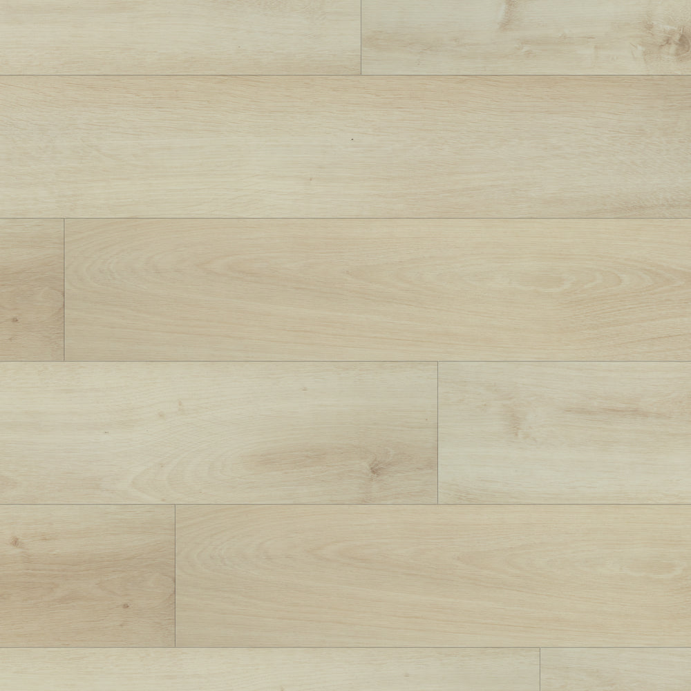 Plancher de vinyle collé | Collection Rapido Monza