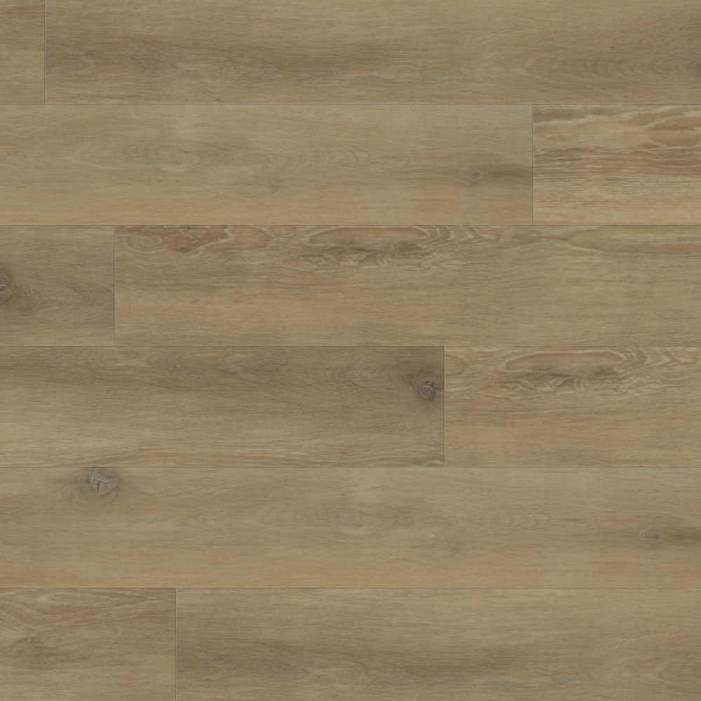 Plancher de vinyle collé | Collection Rapido Vittoria