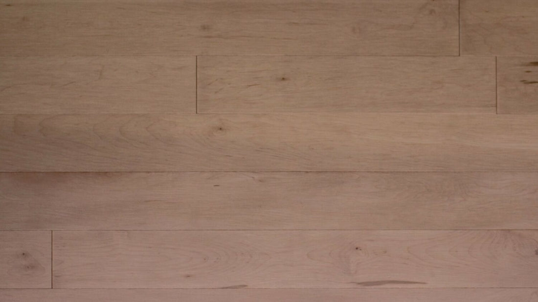 Plancher bois franc en Érable | Collection Solid Classic 3 1/4 po