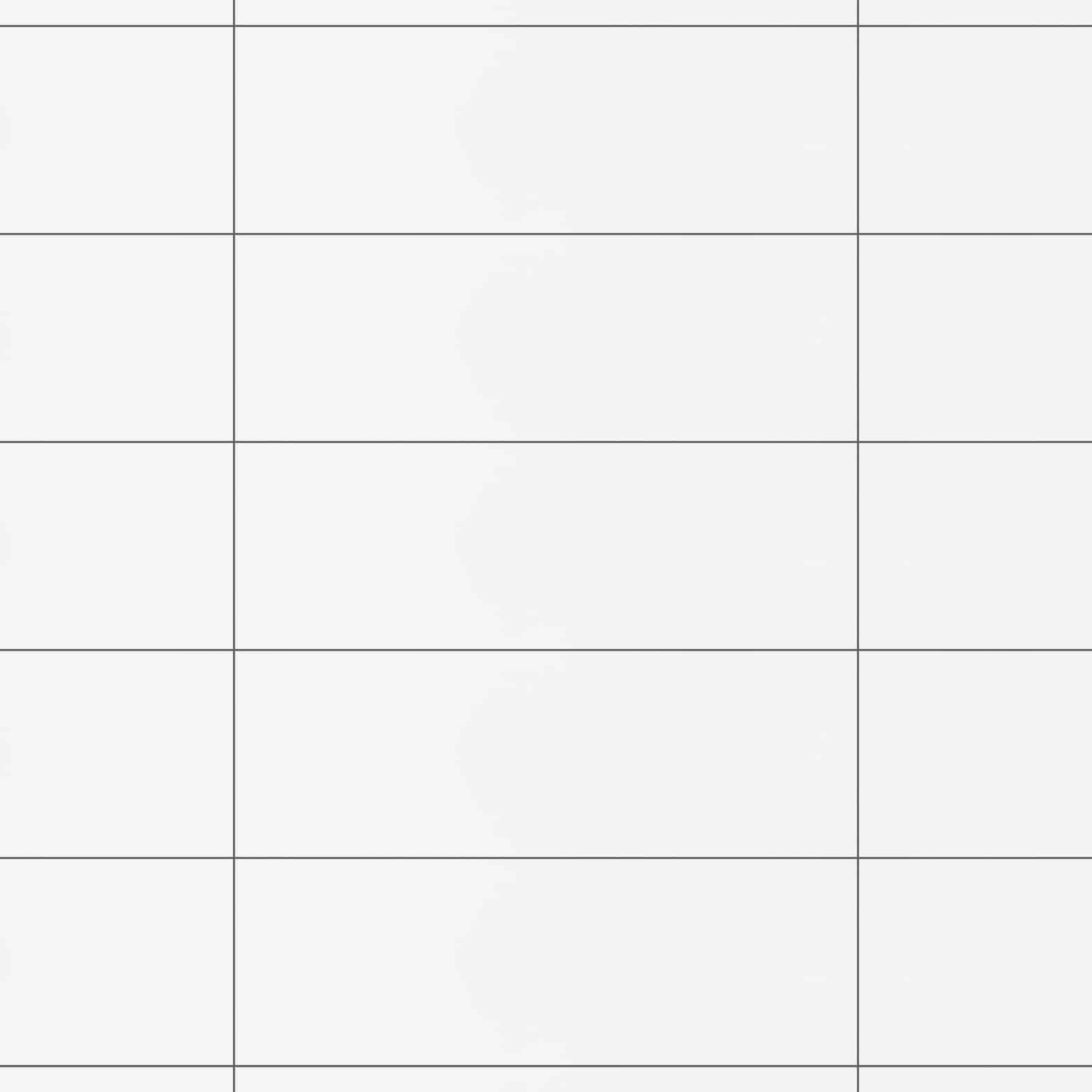 Carreaux de céramique Collection Vela 8 x 24 po Bianco, carreaux rectangulaires blancs