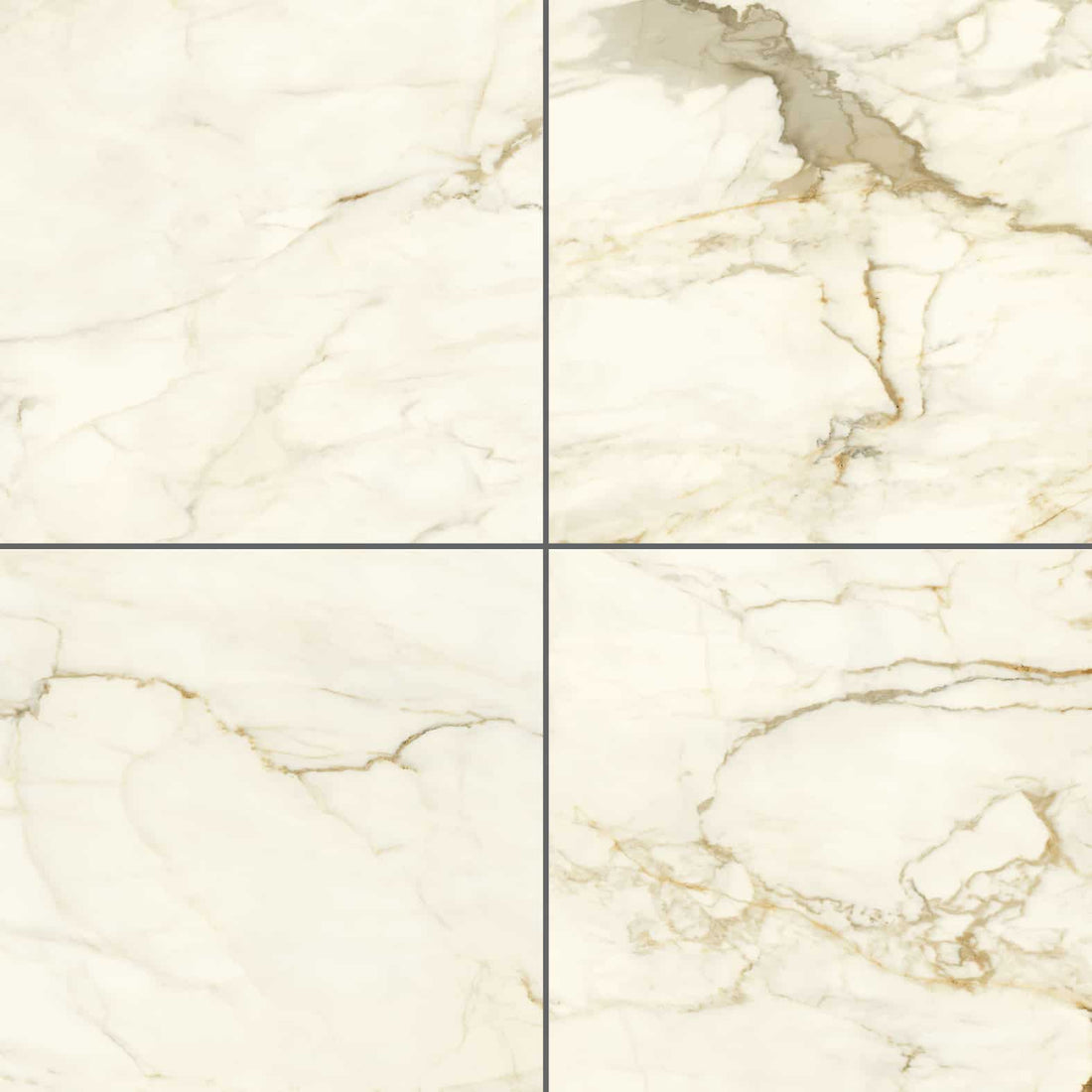 Carreaux de céramique Marmi Classici 24 po x 24 po Calacatta Macchia Vecchia, fini poli, veinage marbré blanc et gris