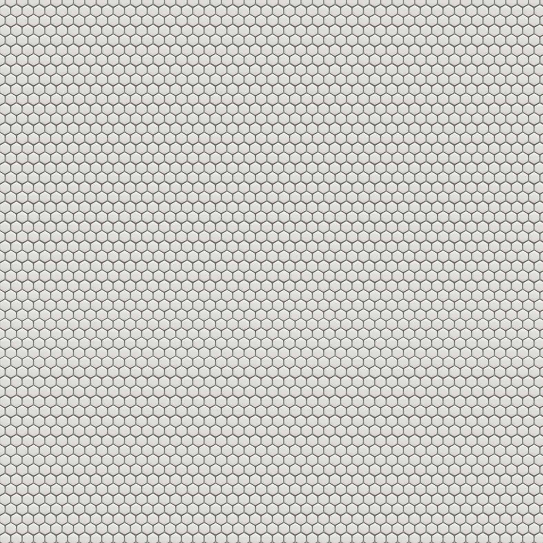 Carreaux de céramique | Collection Precious - Mosaïque Hex - 0,6 po x 0,6 po