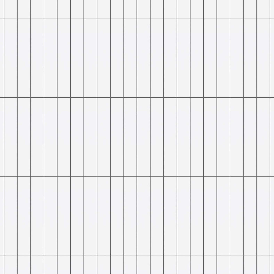 Carreaux de céramique | Collection Essential - 2 po x 12 po