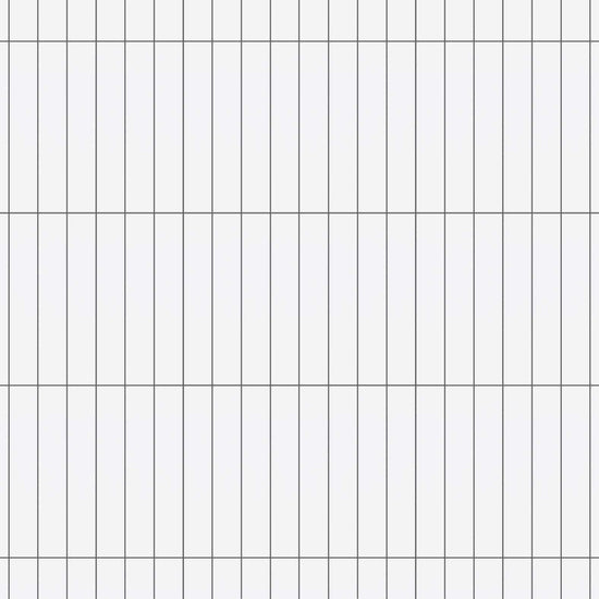 Carreaux de céramique Collection Essential 2 po x 12 po Bianco lustré blanc rectangulaire