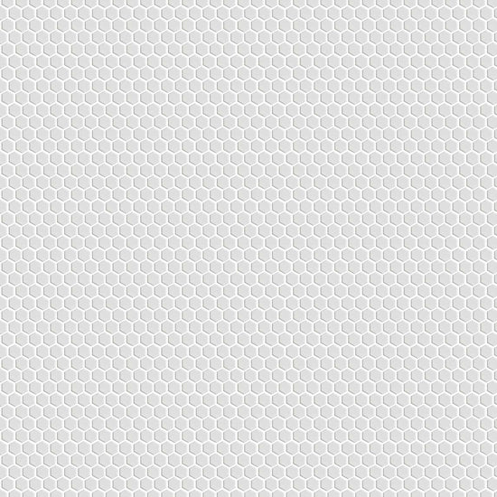 Carreaux de céramique Collection Nektar 1 po x 1 po blanc mat