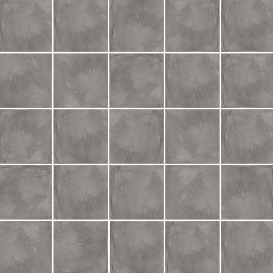 Carreaux de céramique Collection Terra 8 po x 8 po anthracite