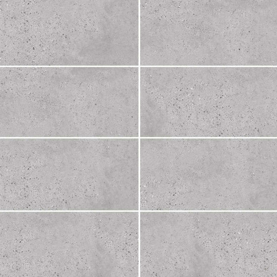 Carreaux de céramique | Collection Cassio - 12 po x 24 po