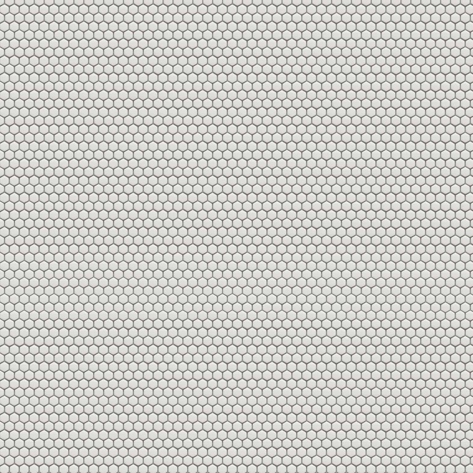 Carreaux de céramique | Collection Precious - Mosaïque Hex - 0,6 po x 0,6 po Blanc Mosaïque He x - 0,6 po x 0,6 po Mat
