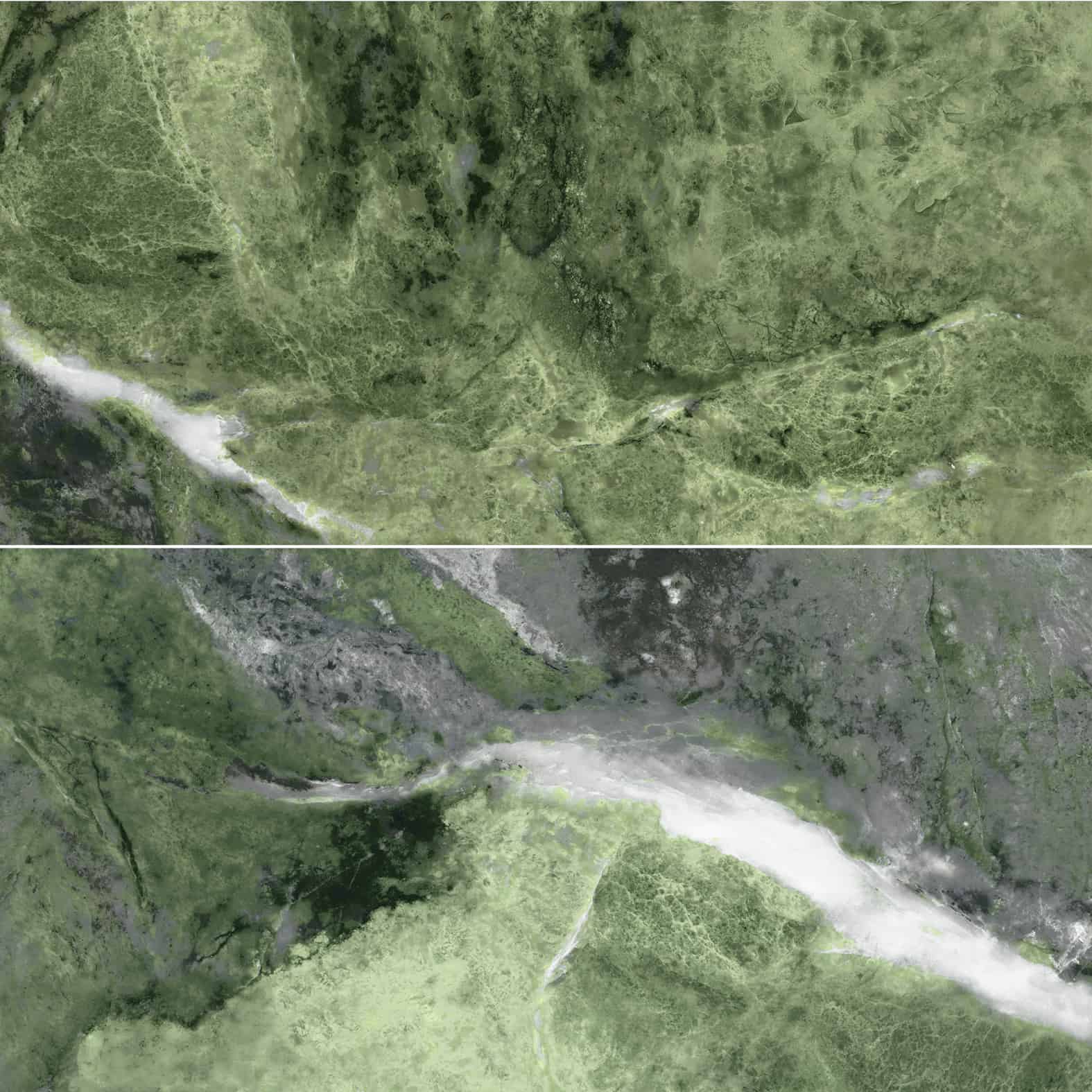 Carreaux de céramique | Collection Amazona - 24 po x 48 po