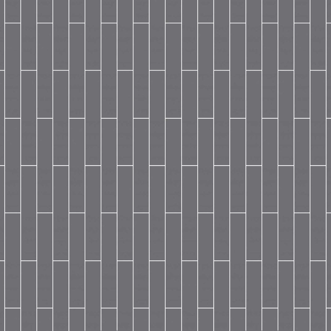 Carreaux de céramique | Collection Essential - 2 po x 12 po