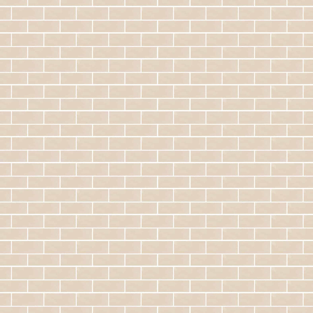 Carreaux de céramique | Collection Village - 2 po x 5 po