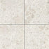 Carreaux de céramique | Collection Fragmenta - 24 po x 24 po Bianco Greco 24 po x 24 po Mat