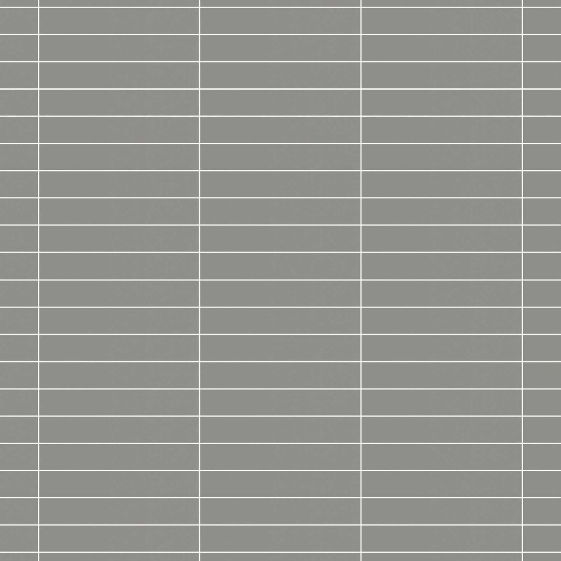 Carreaux de céramique | Collection Essential - 2 po x 12 po