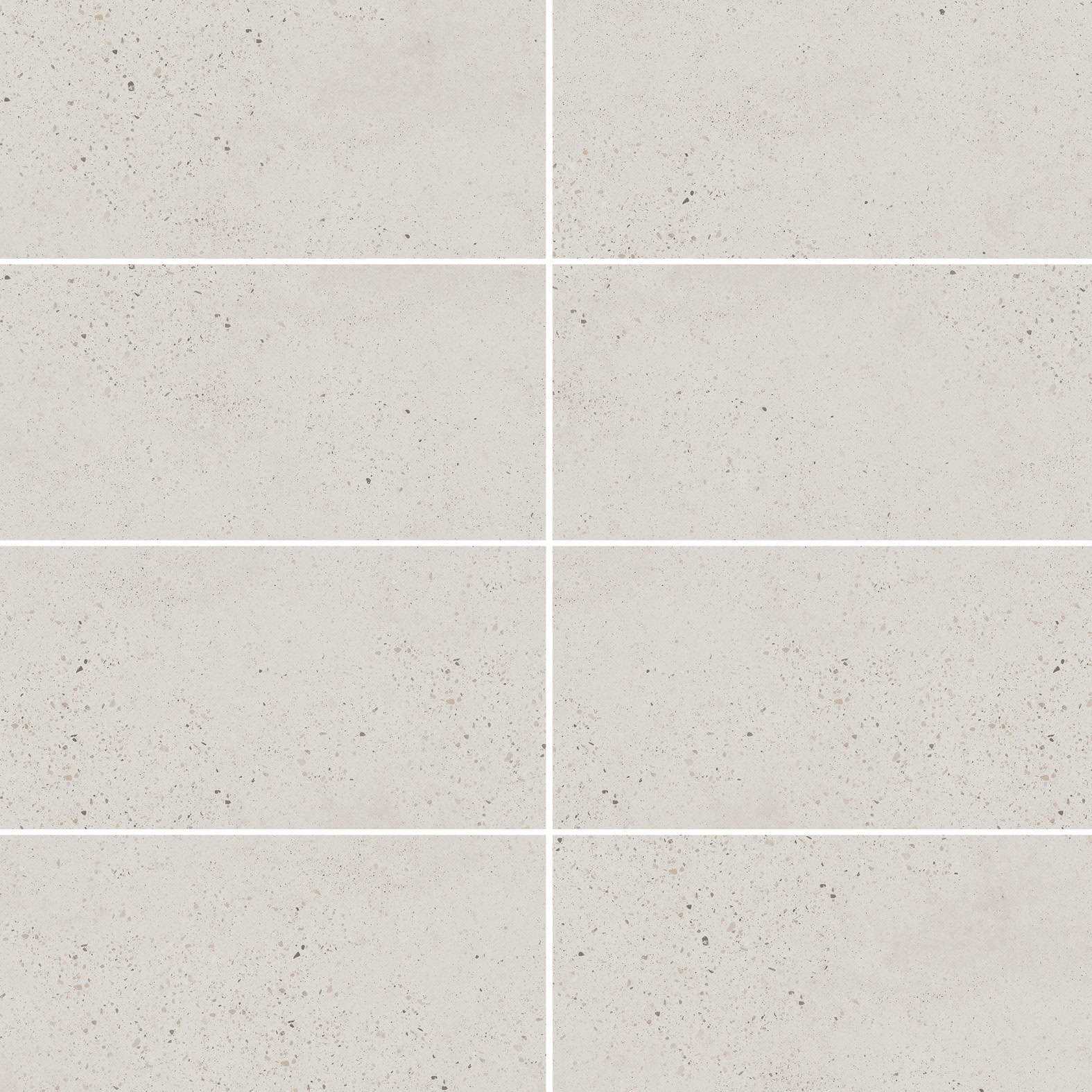 Carreaux de céramique | Collection Cassio - 12 po x 24 po