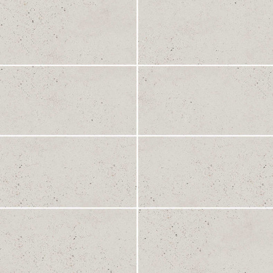 Carreaux de céramique | Collection Cassio - 12 po x 24 po