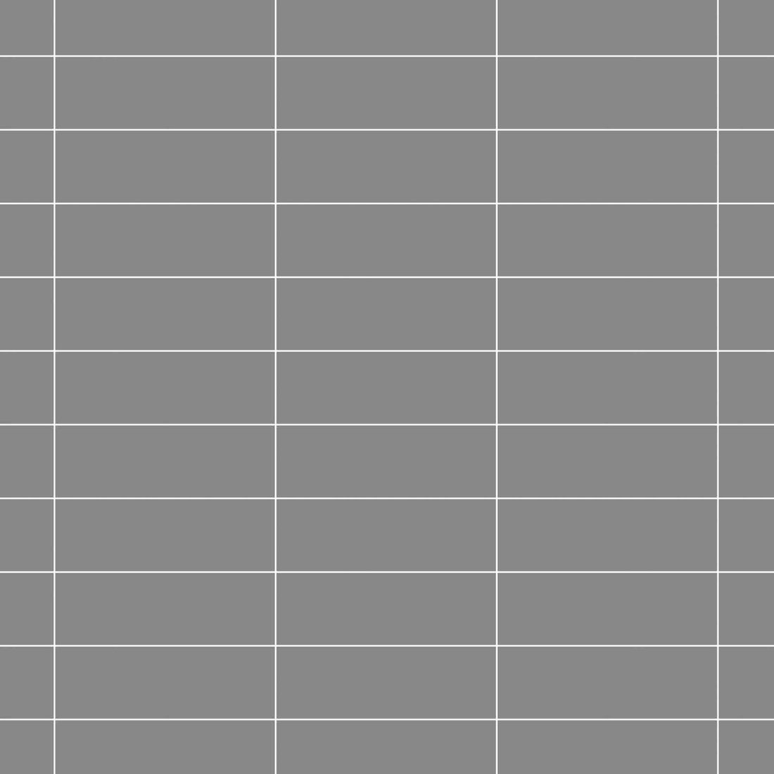 Carreaux de céramique | Collection P21 - 4 po x 12 po