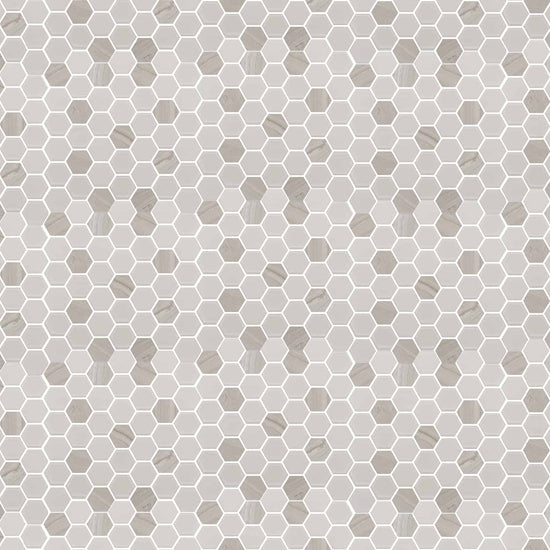 Carreaux de céramique | Collection Exagon - Mosaïque - 2 po x 2 po
