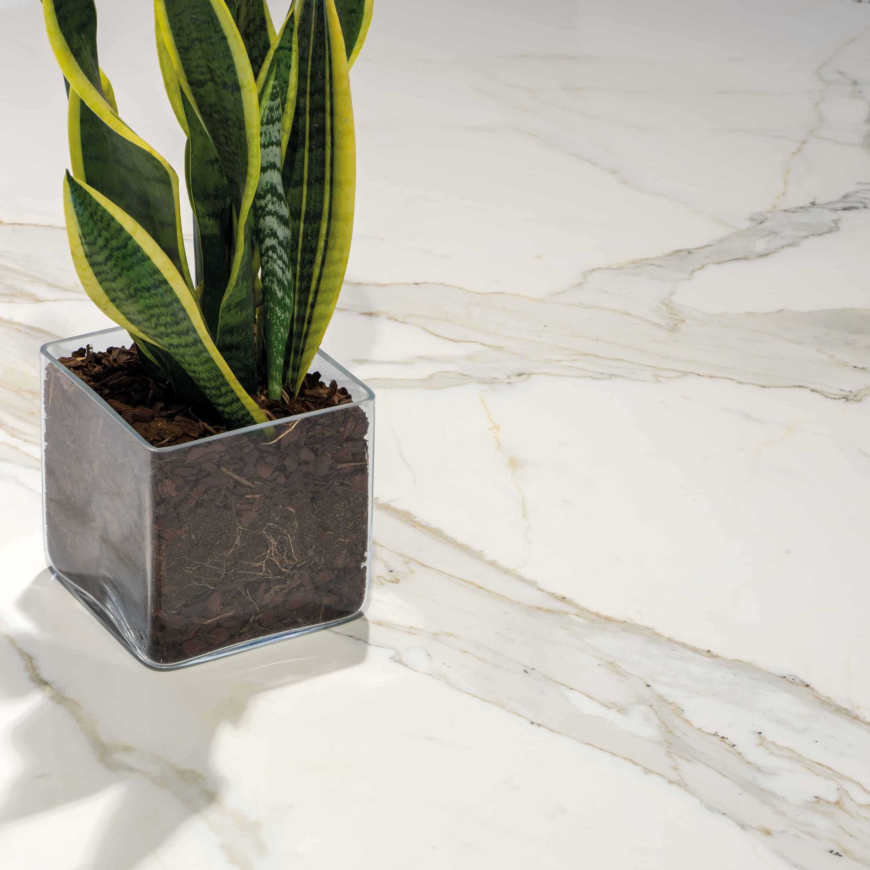 Carreaux de céramique | Collection Marmi Classici - 24 po x 24 po