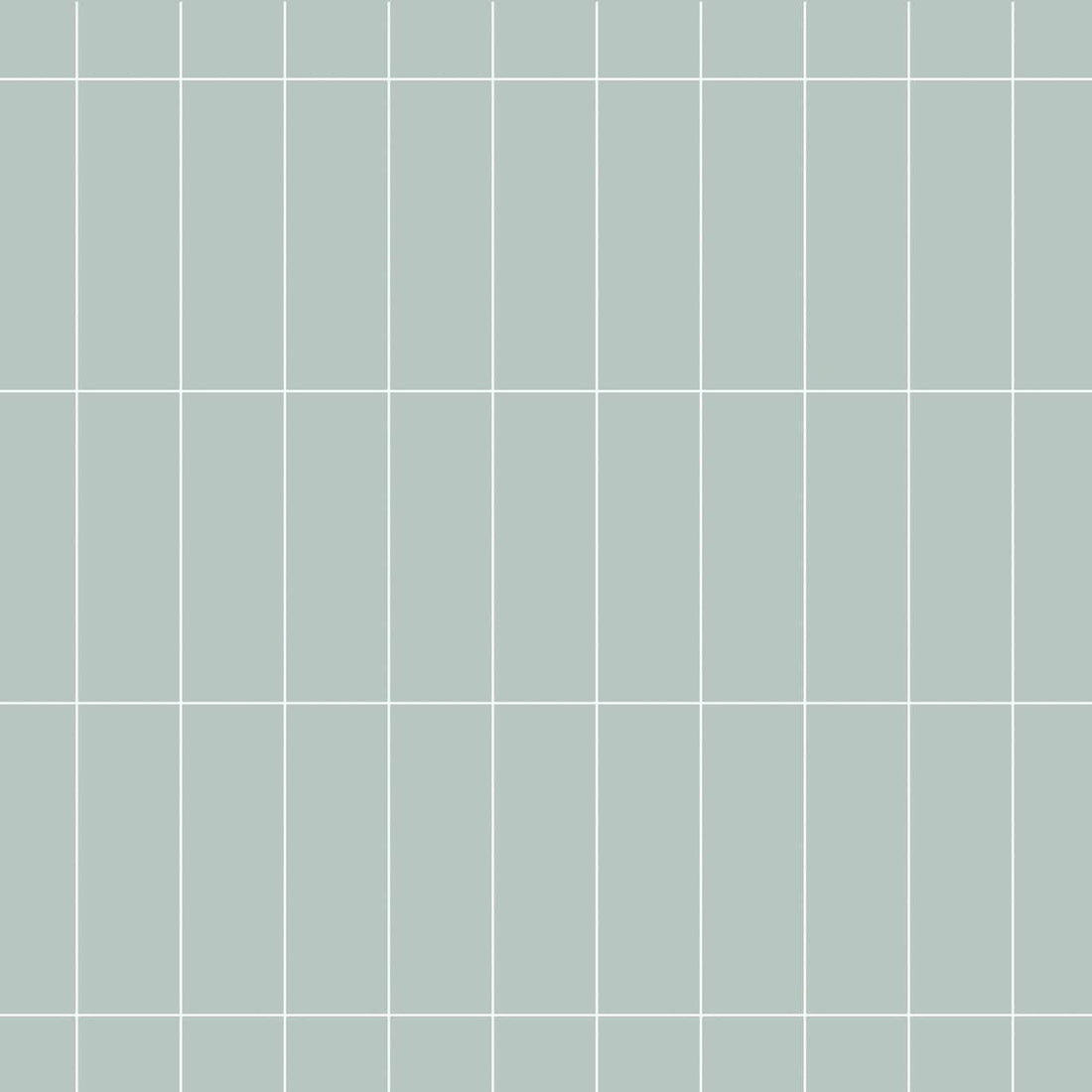 Carreaux de céramique | Collection P21 - 4 po x 12 po