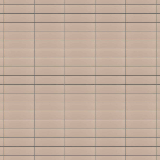 Carreaux de céramique | Collection Vibe - 2,5 po x 8 po
