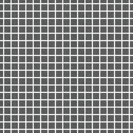 <img src="/images/newcon-2x2-gris-fonce-mat.jpg" alt="Carreaux de céramique Collection Newcon 2 po x 2 po gris foncé, fini mat">