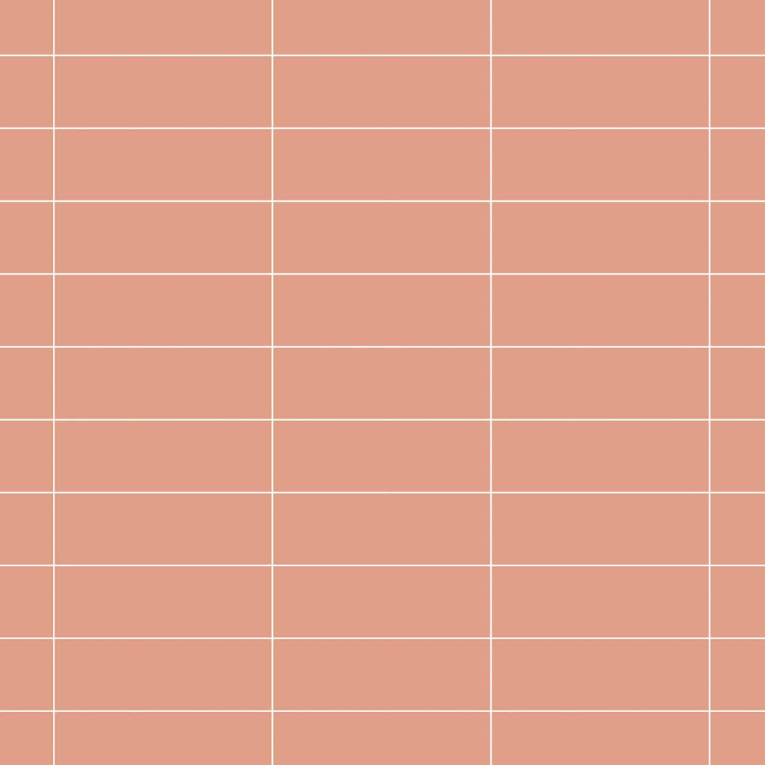 Carreaux de céramique | Collection P21 - 4 po x 12 po