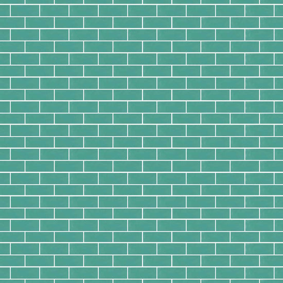 Carreaux de céramique | Collection Village - 2 po x 5 po