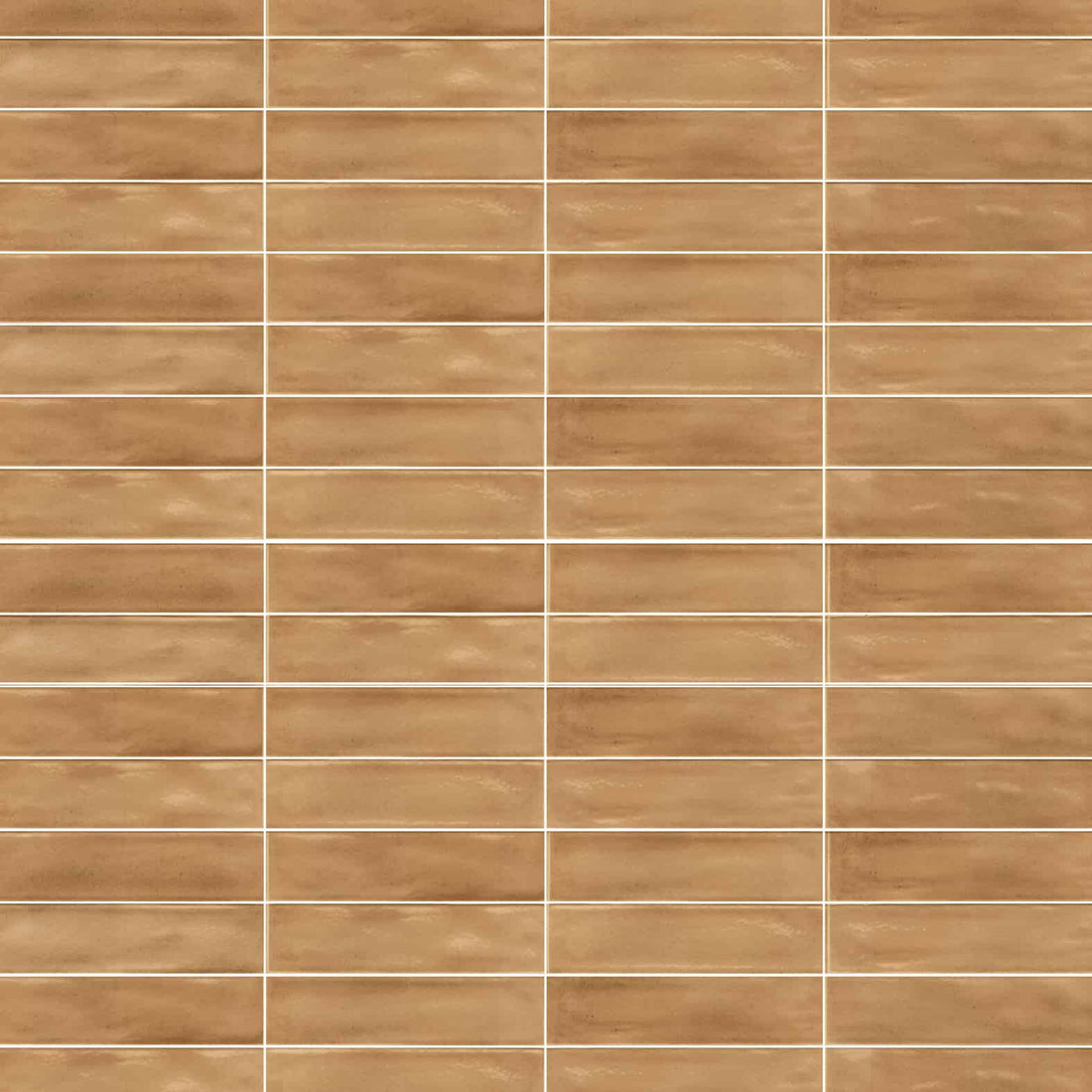 Carreaux de céramique | Collection Multiforme - 3 po x 12 po