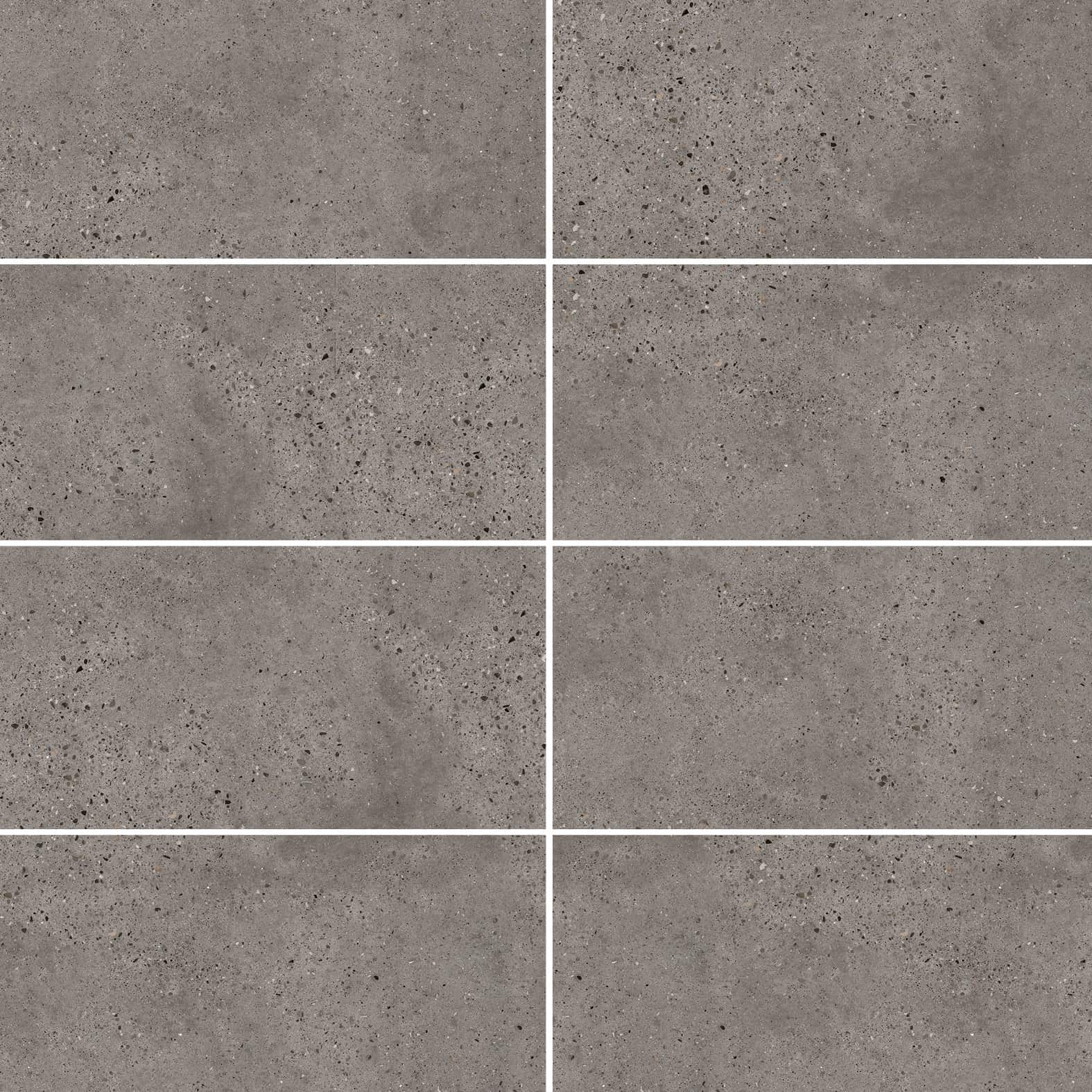 Carreaux de céramique | Collection Cassio - 12 po x 24 po