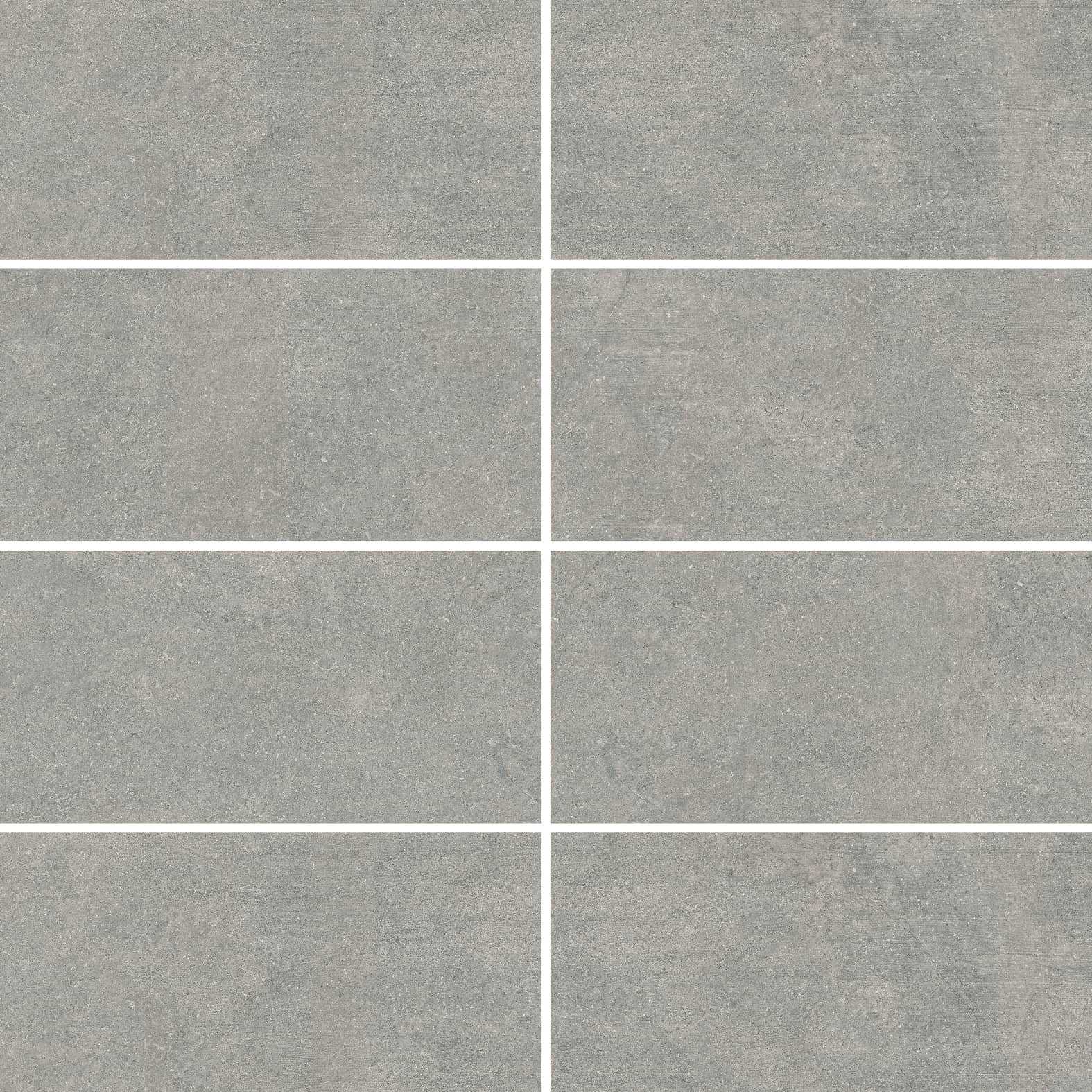 Carreaux de céramique Collection Newcon 12 po x 24 po gris argent finition mate